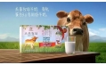 用實力打造優(yōu)質(zhì)偶像