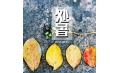 明日處暑，你舍得和夏天說再見嗎？