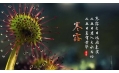 今日寒露 | 裊裊涼風(fēng)動(dòng)，凄凄寒露零